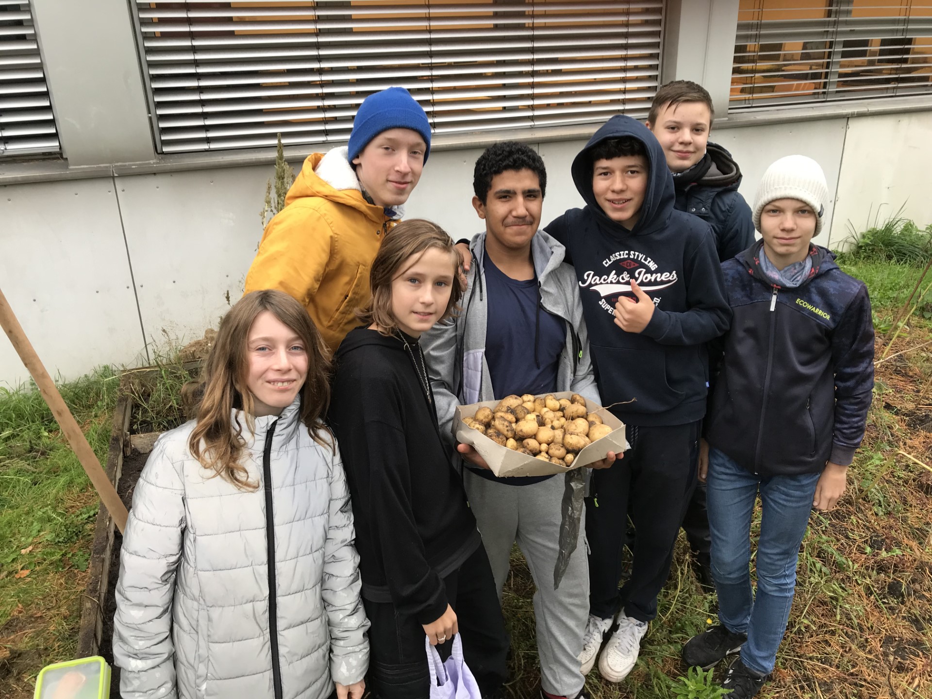 Wilma Rudolph Oberschule Am Hegewinkel Berlin Kartoffelernte im Schulgarten - Wilma Rudolph Oberschule